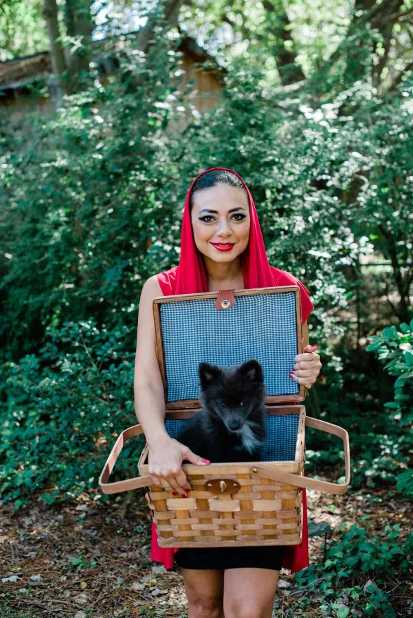 close up of little red riding hood with dog in basket